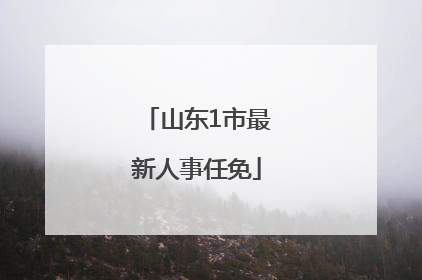 山东1市最新人事任免