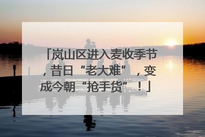 岚山区进入麦收季节，昔日“老大难”，变成今朝“抢手货”！