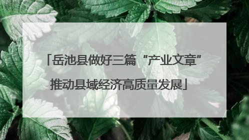 岳池县做好三篇“产业文章” 推动县域经济高质量发展