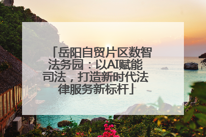 岳阳自贸片区数智法务园：以AI赋能司法，打造新时代法律服务新标杆