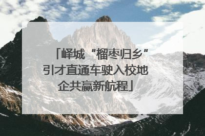 峄城“榴枣归乡”引才直通车驶入校地企共赢新航程