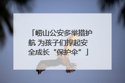 崂山公安多举措护航 为孩子们撑起安全成长“保护伞”