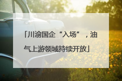 川渝国企“入场”，油气上游领域持续开放