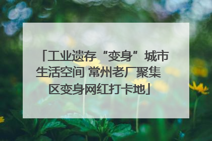 工业遗存“变身”城市生活空间 常州老厂聚集区变身网红打卡地