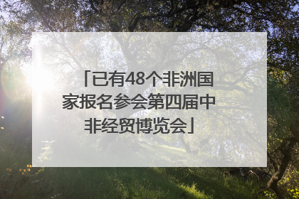 已有48个非洲国家报名参会第四届中非经贸博览会