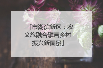 市湖滨新区：农文旅融合擘画乡村振兴新图景