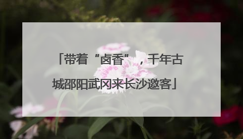 带着“卤香”，千年古城邵阳武冈来长沙邀客
