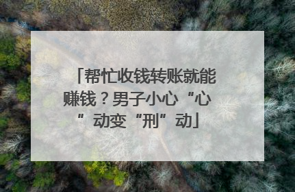 帮忙收钱转账就能赚钱？男子小心“心”动变“刑”动