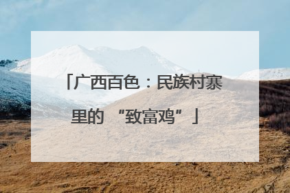 广西百色：民族村寨里的 “致富鸡”