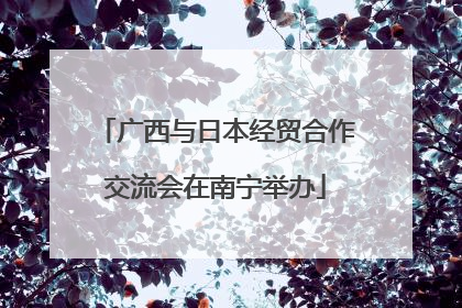 广西与日本经贸合作交流会在南宁举办