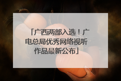 广西两部入选！广电总局优秀网络视听作品最新公布