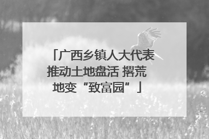 广西乡镇人大代表推动土地盘活 撂荒地变“致富园”