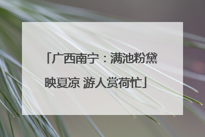 广西南宁：满池粉黛映夏凉 游人赏荷忙