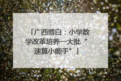 广西博白：小学数学改革培养一大批“速算小能手”