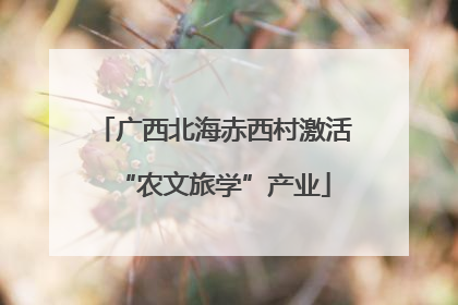 广西北海赤西村激活“农文旅学”产业