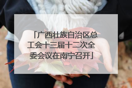 广西壮族自治区总工会十三届十二次全委会议在南宁召开