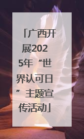 广西开展2025年“世界认可日”主题宣传活动