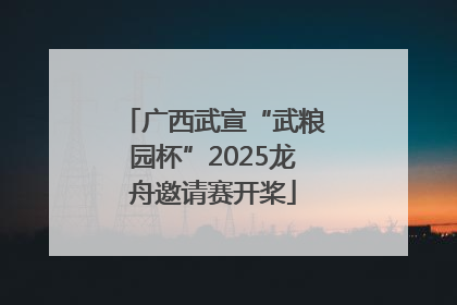 广西武宣“武粮园杯”2025龙舟邀请赛开桨