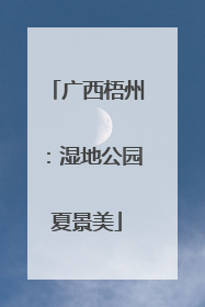 广西梧州：湿地公园夏景美