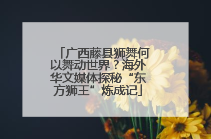 广西藤县狮舞何以舞动世界？海外华文媒体探秘“东方狮王”炼成记