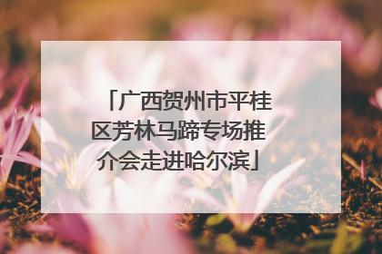 广西贺州市平桂区芳林马蹄专场推介会走进哈尔滨