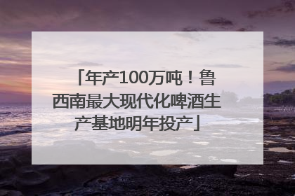 年产100万吨！鲁西南最大现代化啤酒生产基地明年投产