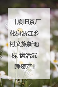 废旧茶厂化身浙江乡村文旅新地标 盘活沉睡资产