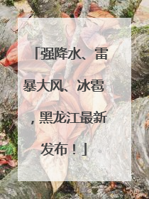 强降水、雷暴大风、冰雹，黑龙江最新发布！