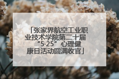 张家界航空工业职业技术学院第二十届“5·25”心理健康日活动圆满收官