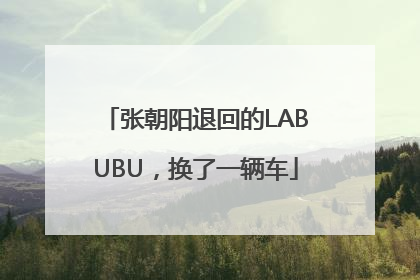 张朝阳退回的LABUBU，换了一辆车