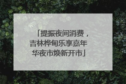 提振夜间消费，吉林桦甸乐享嘉年华夜市焕新开市