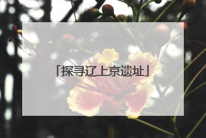 探寻辽上京遗址