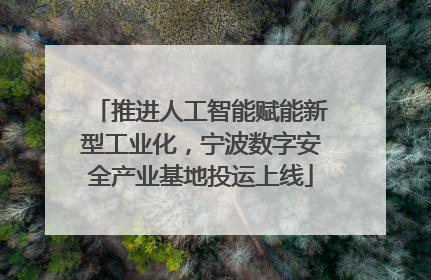 推进人工智能赋能新型工业化，宁波数字安全产业基地投运上线