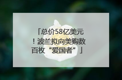 总价58亿美元！波兰拟向美购数百枚“爱国者”