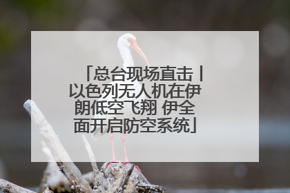 总台现场直击丨以色列无人机在伊朗低空飞翔 伊全面开启防空系统