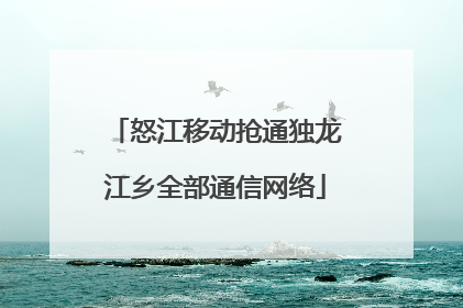 怒江移动抢通独龙江乡全部通信网络