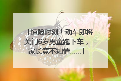 惊险时刻！动车即将关门6岁男童跑下车，家长竟不知情……