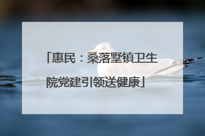 惠民：桑落墅镇卫生院党建引领送健康