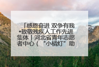 感恩奋进 双争有我•致敬残疾人工作先进集体丨河北省青年志愿者中心（“小橘灯”助残接力计划实施团队）：用温暖陪伴，守护特殊孩子成长