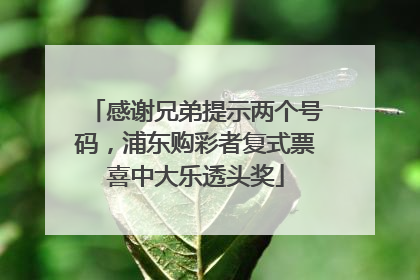 感谢兄弟提示两个号码，浦东购彩者复式票喜中大乐透头奖
