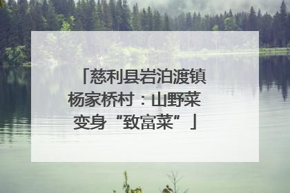 慈利县岩泊渡镇杨家桥村：山野菜变身“致富菜”