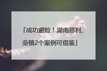 成功避险！湖南慈利、桑植2个案例可借鉴