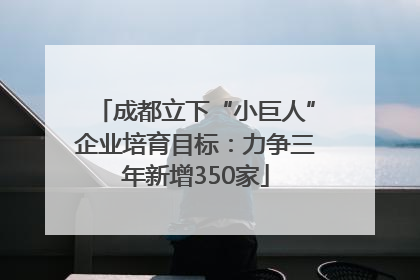 成都立下“小巨人”企业培育目标：力争三年新增350家