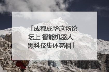 成都成华这场论坛上 智能机器人黑科技集体亮相