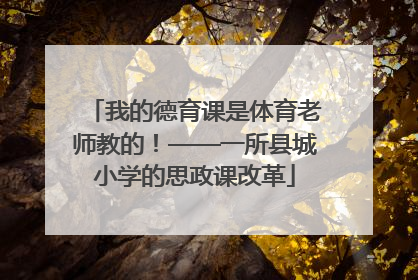 我的德育课是体育老师教的！——一所县城小学的思政课改革