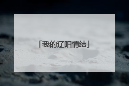 我的辽阳情结