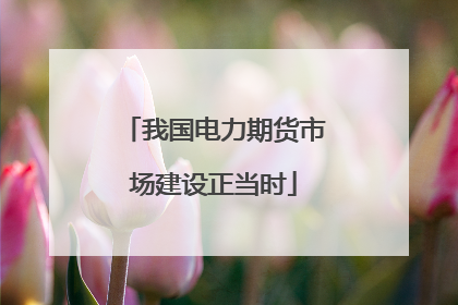 我国电力期货市场建设正当时