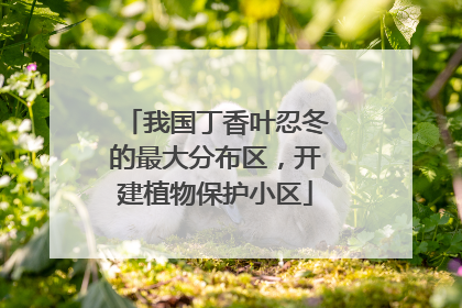 我国丁香叶忍冬的最大分布区，开建植物保护小区