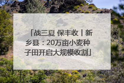 战三夏 保丰收丨新乡县：20万亩小麦种子田开启大规模收割