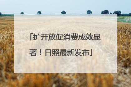扩开放促消费成效显著！日照最新发布